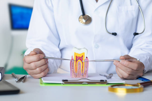Best Weekend Emergency Dentist in Bemidji, MN
